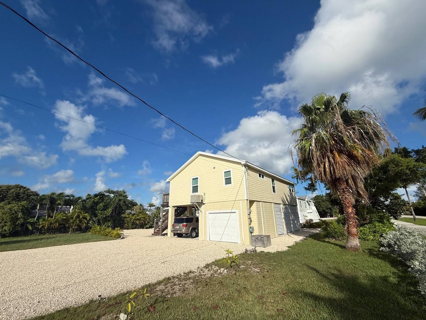 The house beside a tall palm, with parking under the stilts