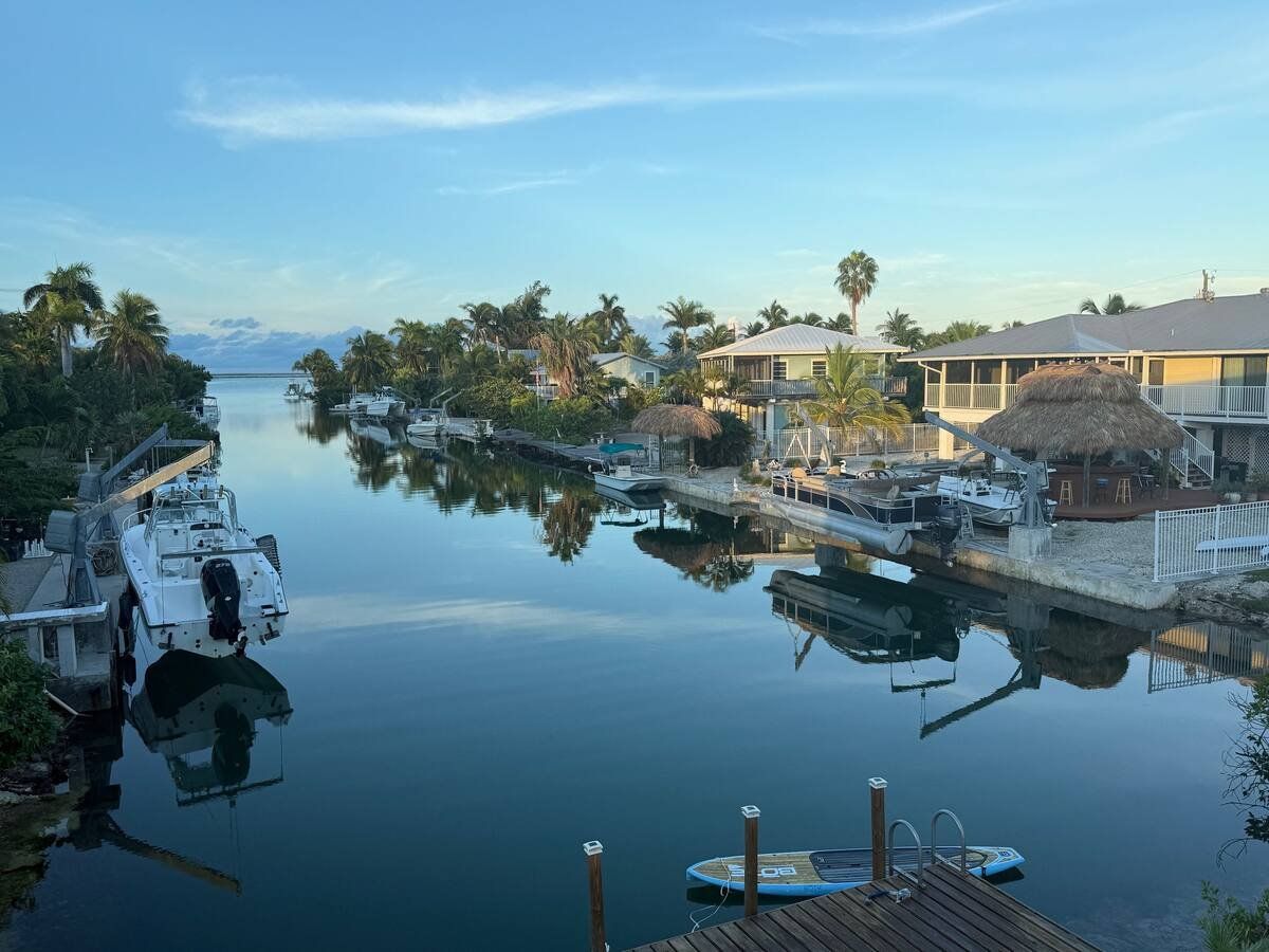 Wide view of the canal with neighbouring docks and palms