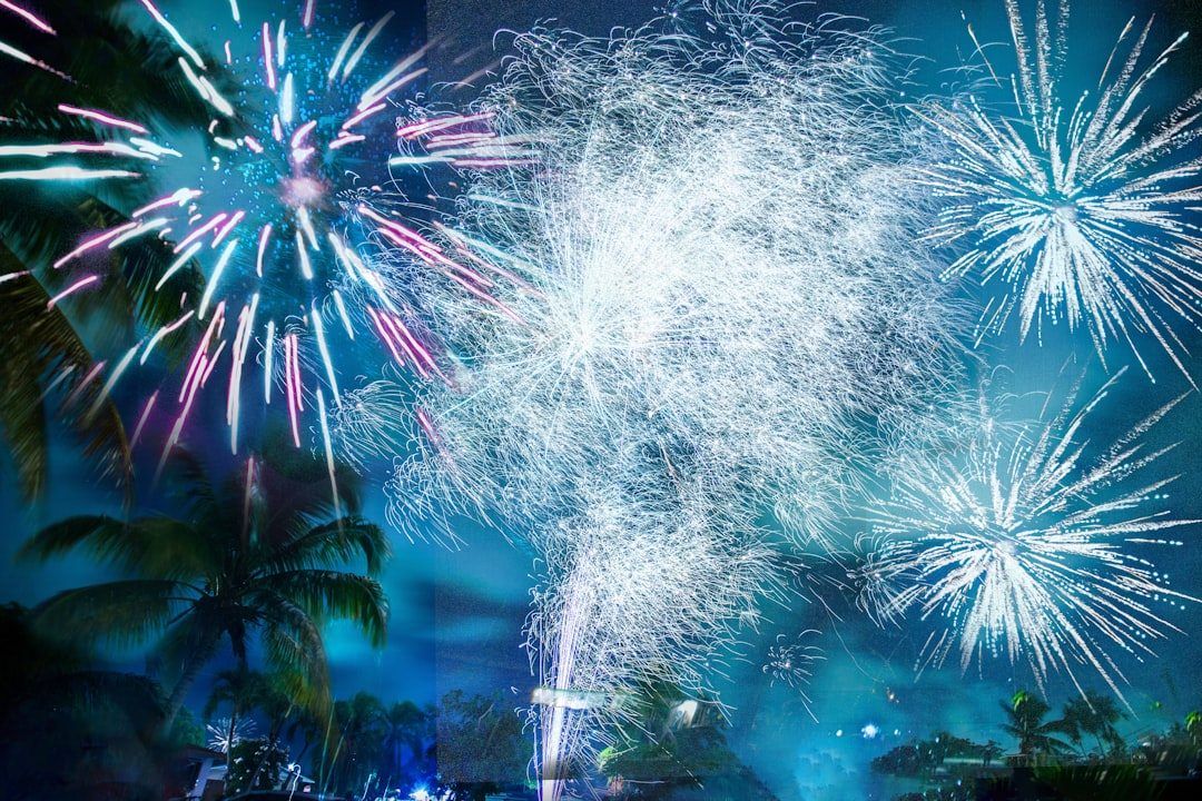 Fireworks bursting over palm trees at night